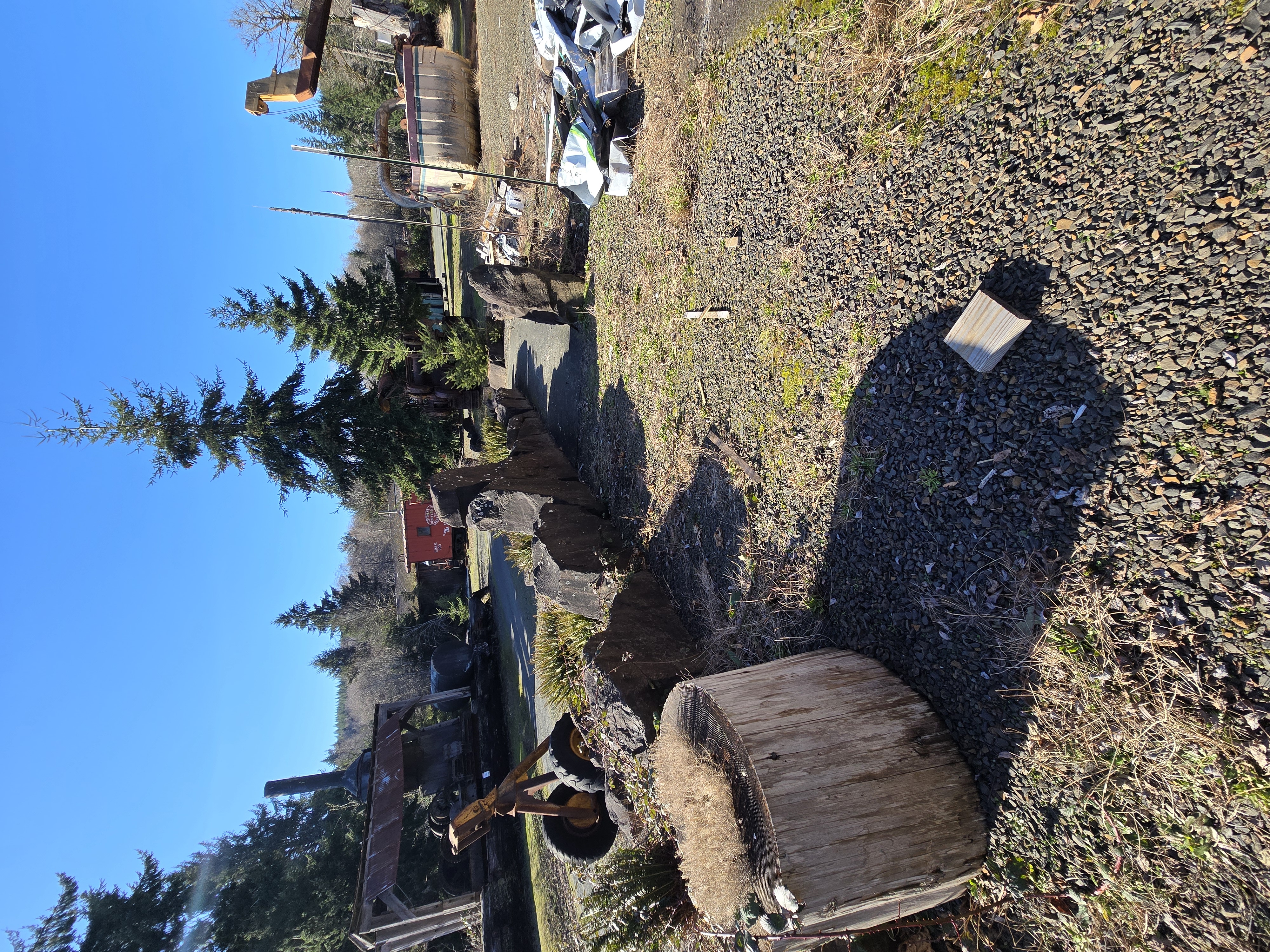 Camp 18 Logging Museum artifact grounds — lower loop panorama